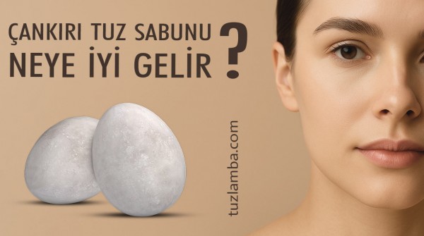 84 Mineralli Çankırı Tuz Sabunu Neye İyi Gelir?