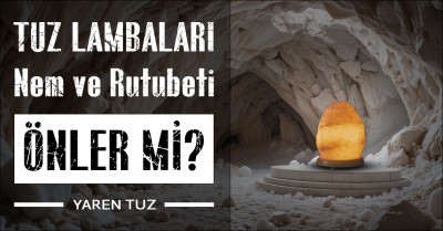 Tuz Lambasının Nem ve Rutubete Etkisi